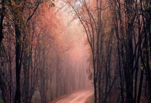 虎扑体育官网：法甲-杜埃双响拉莫斯破门 大巴黎6-1圣埃蒂安.