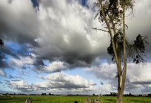 虎扑体育官网：上海双雄出战亚冠精英淘汰赛：请为中超席位而战！.